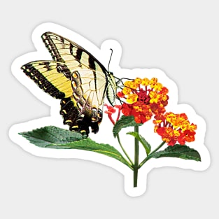 Tiger Swallowtail on Lantanas Sticker